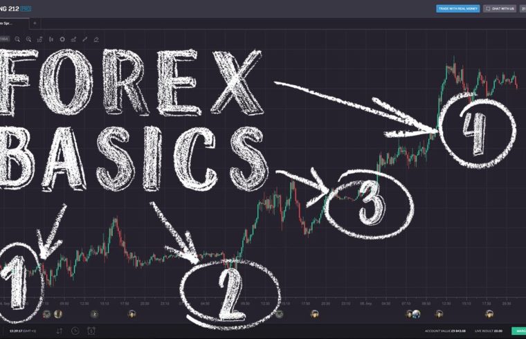 Forex for beginners plus 500 youtube