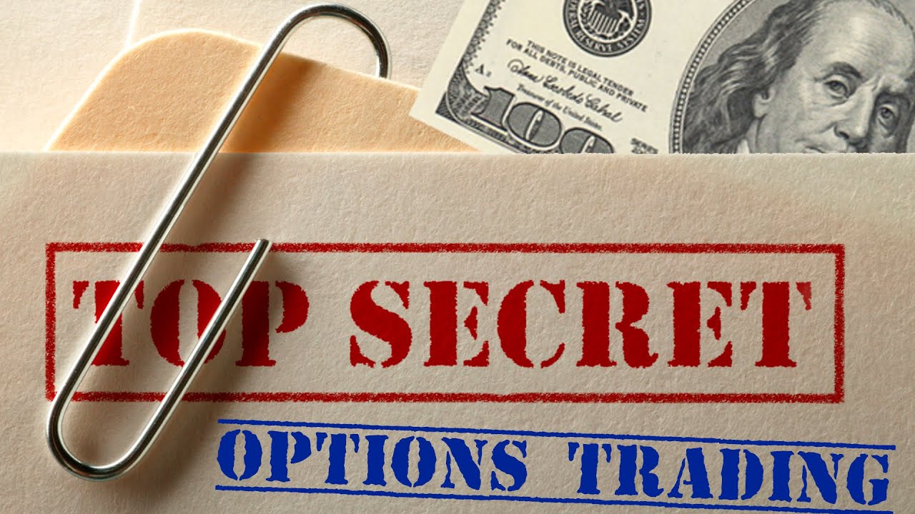 Money Secret 5 Learn To Trade Options Using VectorVest CashinHQcom